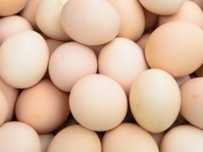 长期求购正宗农家自养土鸡蛋