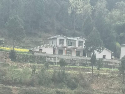 升钟湖胡哥农家乐钓鱼接待服务/包吃住图3