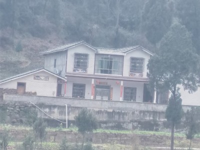 升钟湖胡哥农家乐钓鱼接待服务/包吃住图4