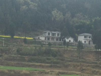 升钟湖胡哥农家乐钓鱼接待服务/包吃住图5